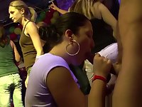Shy amateur girls sucking cock in the disco